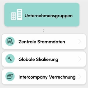 Illustration: conmeet für Unternehmensgruppen mit zentralen Stammdaten, globaler Skalierung und Intercompany-Verrechnung